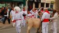 IMG_6462.jpg