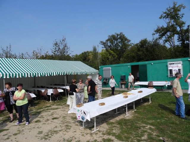 DSC03154.jpg
