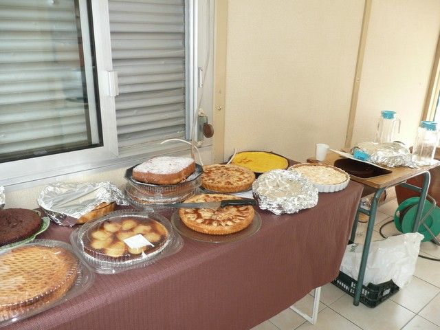 P1060951.jpg
