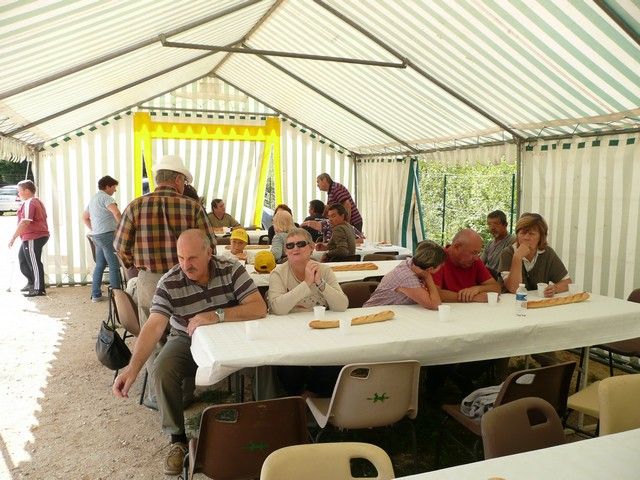 P1060954.jpg