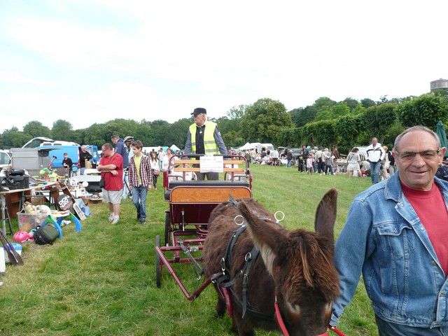 P1060542.jpg