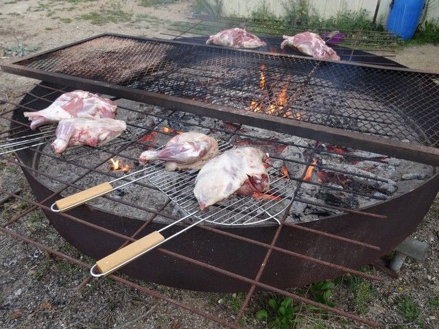 DSC05517.jpg