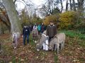 DSC03376.jpg